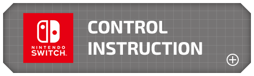 control instruction
